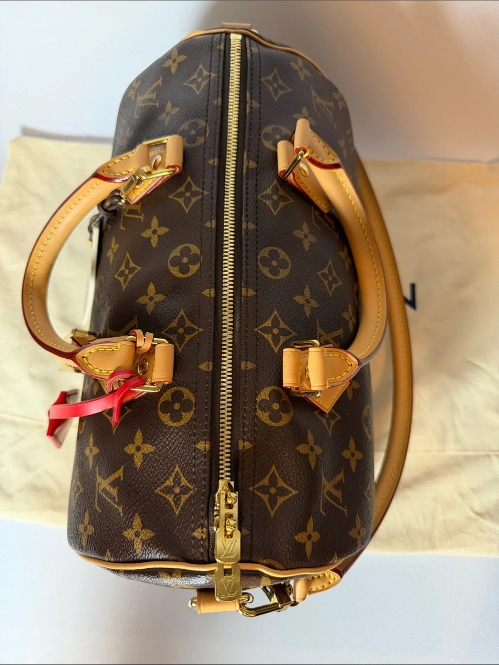 Louis Vuitton Speedy 30 Crafty